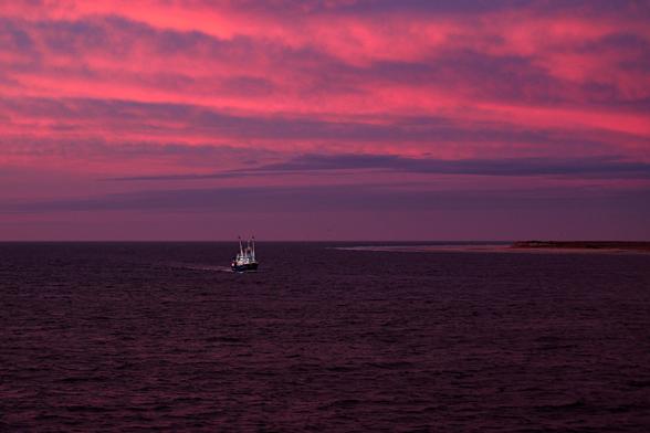Sonnenaufgang über der Nordsee bei Amrum: Rot-blau-lilafarbene Wolken über einem dunkellilafarbenen Meer, etwas Sonnenlicht bringt Himmel und Wasser zum Leuchten. Fast in der Mitte des Bildes fährt ein weißer Krabbenkutter, der winzig wirkt, der auch von der Sonne beleuchtet wird (November 2025)

Sunrise over the North Sea near Amrum: Red-blue-purple clouds over a dark purple sea, some sunlight makes the sky and water shine. Almost in the middle of the picture, a white crab cutter, which looks tiny, is also illuminated by the sun.