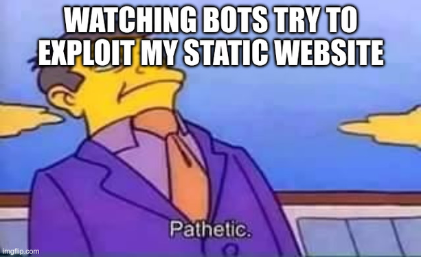 Simpson "pathetic" meme

Watching bots try to exploit my static website

- pathetic