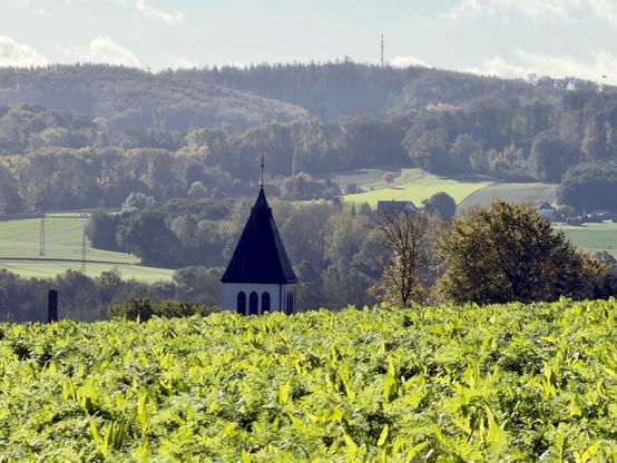 Ein Kirchturm ragt über ein Feld in die Höhe. Dahinter die Ruhrhöhen.