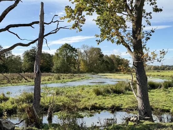 Blick auf das Naturschutzgebiet Kiebitzwiese.
