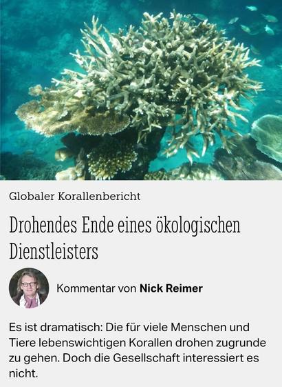 Globaler Korallenbericht
Drohendes Ende eines ökologischen
Dienstleisters

Es ist dramatisch: Die fur viele Menschen und Tiere lebenswichtigen Korallen drohen zugrunde zu gehen. Doch die Gesellschaft interessiert es nicht.

TAZ 23.10.26