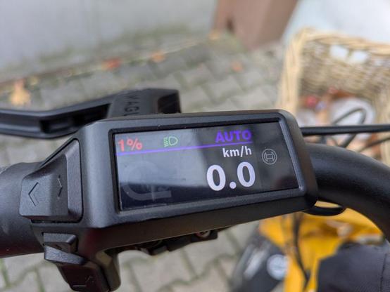 Display an meinem Fahrradlenker zeigt 1 Prozent Akku