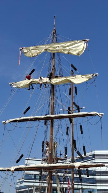 Short version: Sailors on masts. Fuller descriptions: Young sailors dotted around high up on the ropes and cables and riggings and masts of a ship, working on the sails while moored at the Tall Ships Race in Aarhus Denmark in June. Deep bright blue cloudless sky behind them. Cream-white sails, furled. On the lower section, the vertical ropes are criss-crossed by the linear black-and-white storeys of an office block behind where the ship is moored. If you know Aarhus, you'll recognise it as the Navitas building and thus know how incredibly high up those sailors are. Two of the are bending over apparently casually, feel on a rope.