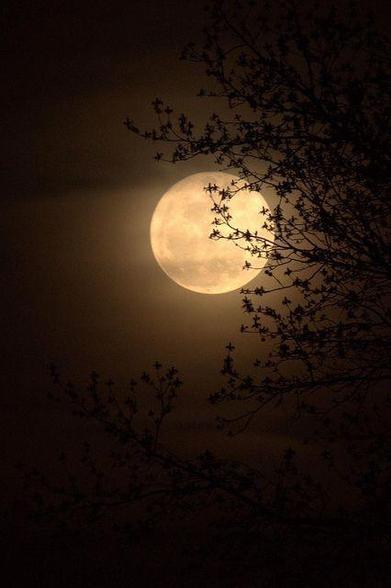 Vollmond am Nachthimmel, rechts im Bild die Zweige eines Baumes
Quelle: Pinterest ohne weitere Angaben