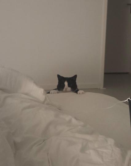 A blob of a cat at the end of the bed